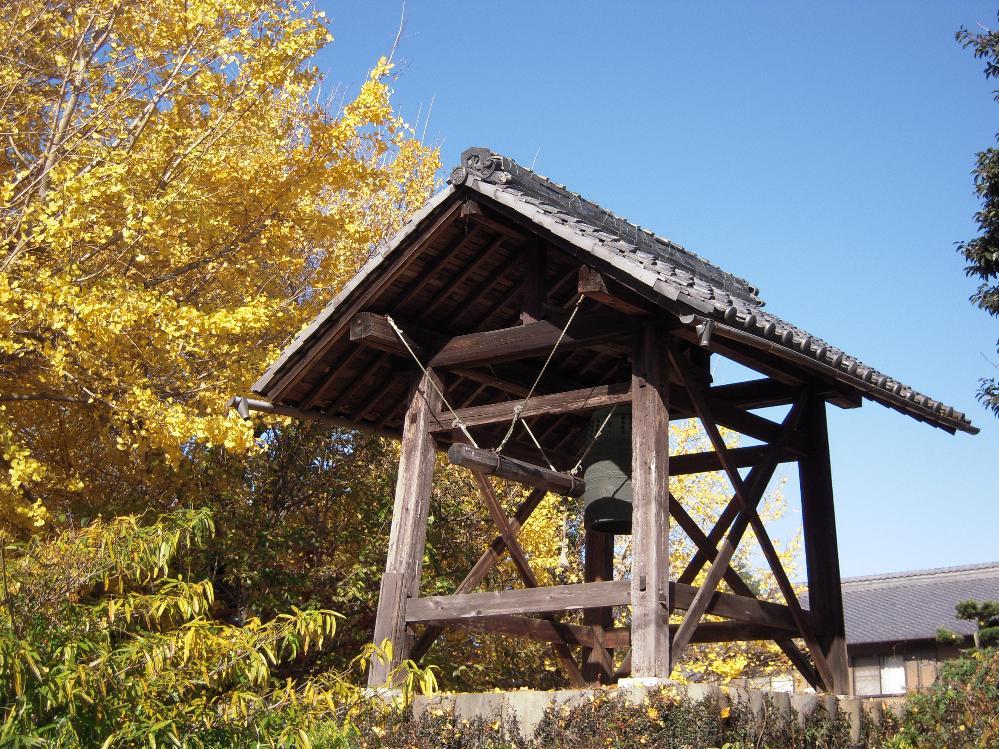 祖父江銀杏 017.jpg